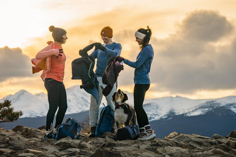 De ce lâna merino este alegerea perfectă pentru orice anotimp – ghid complet Smartwool