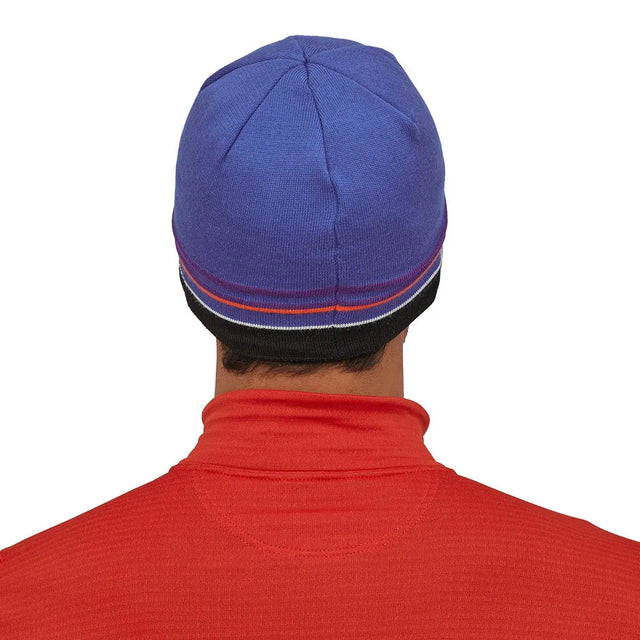 Caciula Patagonia Beanie Caciula Patagonia Beanie
