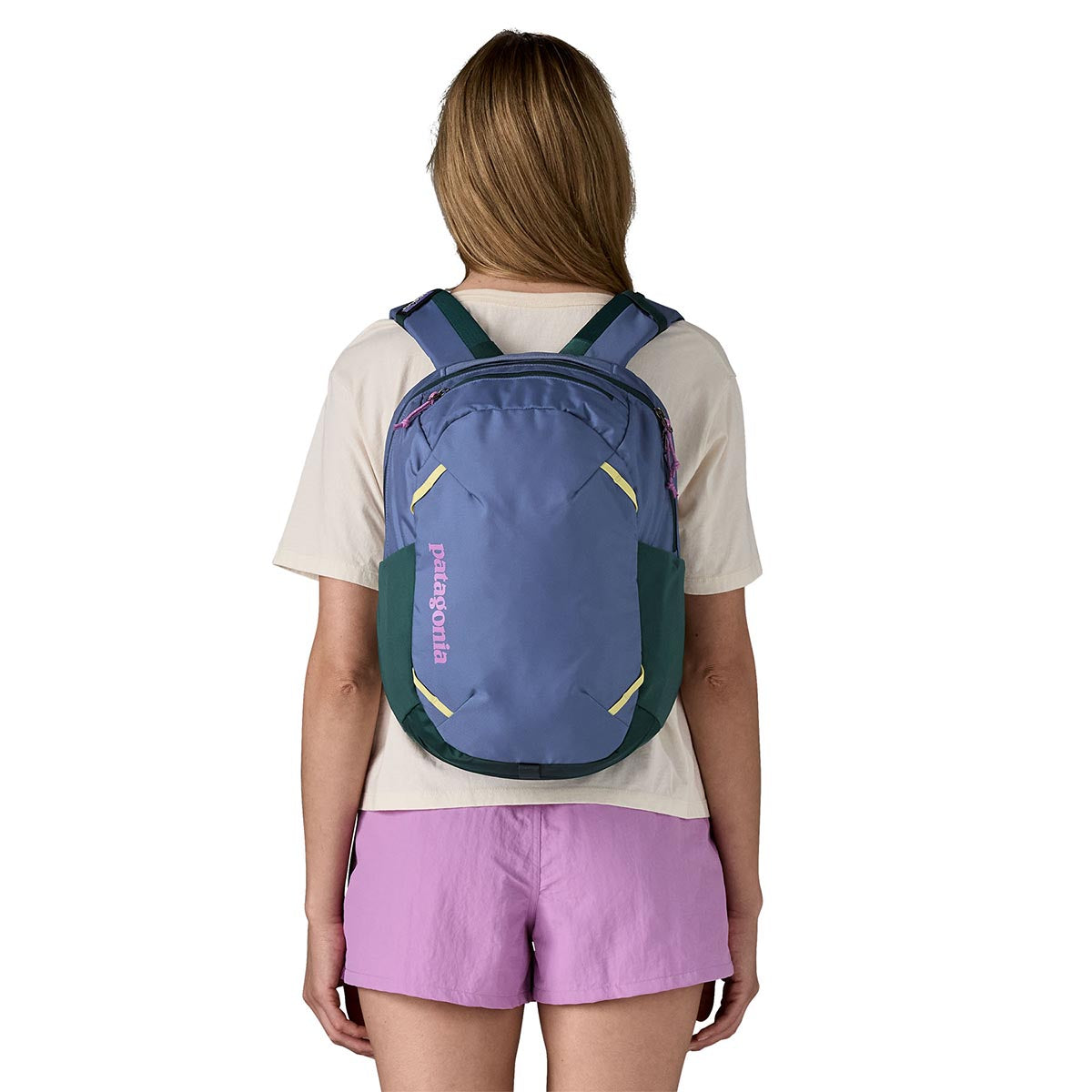 Rucsac Unisex Patagonia Atom 24L Rucsac Unisex Patagonia Atom 24L