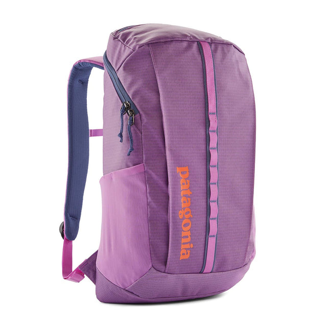 Rucsac Unisex Patagonia Black Hole 25 L Rucsac Unisex Patagonia Black Hole 25 L