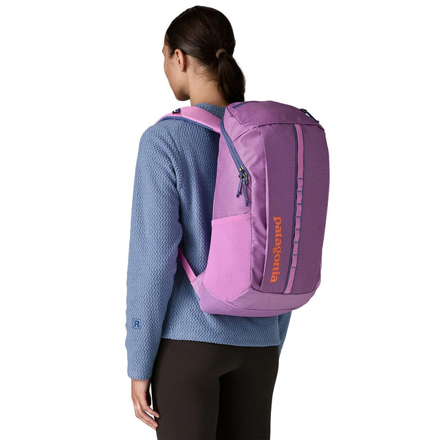 Rucsac Unisex Patagonia Black Hole 25 L Rucsac Unisex Patagonia Black Hole 25 L