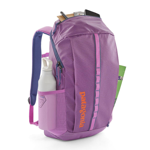 Rucsac Unisex Patagonia Black Hole 25 L Rucsac Unisex Patagonia Black Hole 25 L