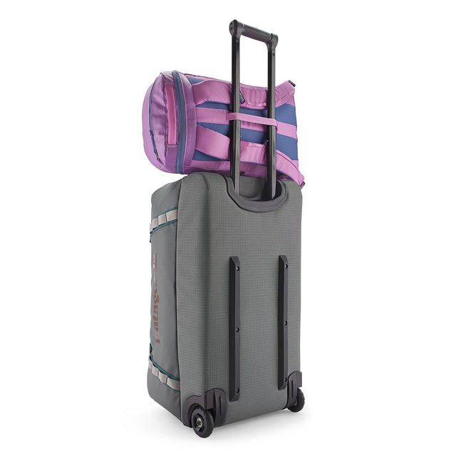 Rucsac Unisex Patagonia Black Hole 25 L Rucsac Unisex Patagonia Black Hole 25 L