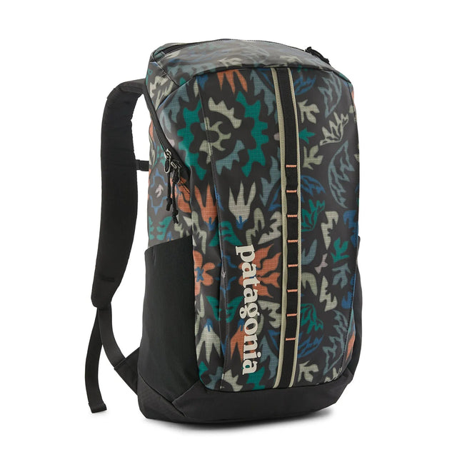 Rucsac Unisex Patagonia Black Hole 25 L Rucsac Unisex Patagonia Black Hole 25 L