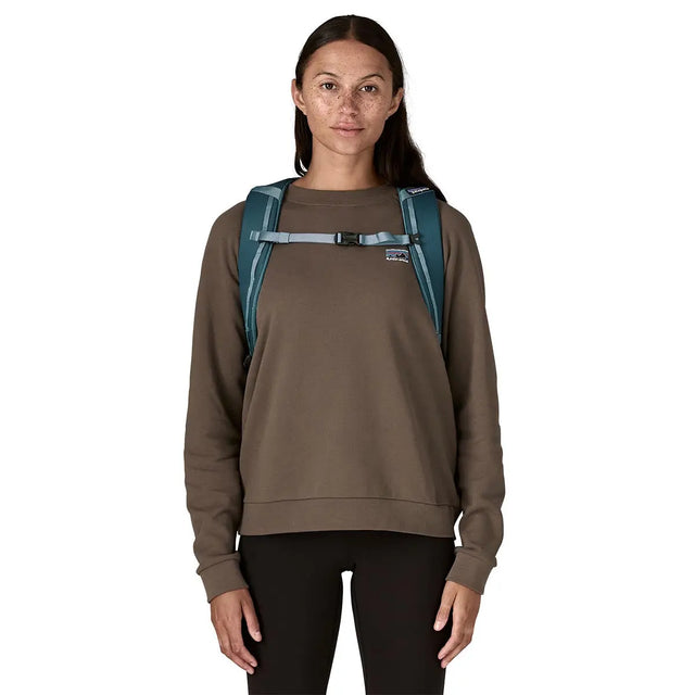 Rucsac Unisex Patagonia Black Hole 25 L Rucsac Unisex Patagonia Black Hole 25 L