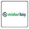 midori