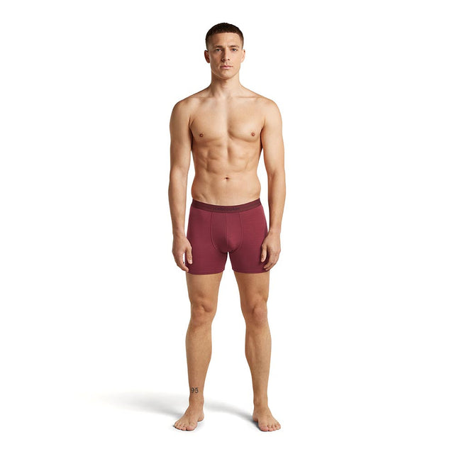 Boxeri Barbati Icebreaker M Merino 150 Anatomica Boxeri Barbati Icebreaker M Merino 150 Anatomica
