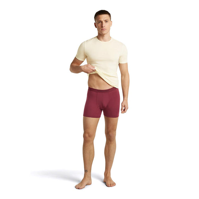 Boxeri Barbati Icebreaker M Merino 150 Anatomica Boxeri Barbati Icebreaker M Merino 150 Anatomica