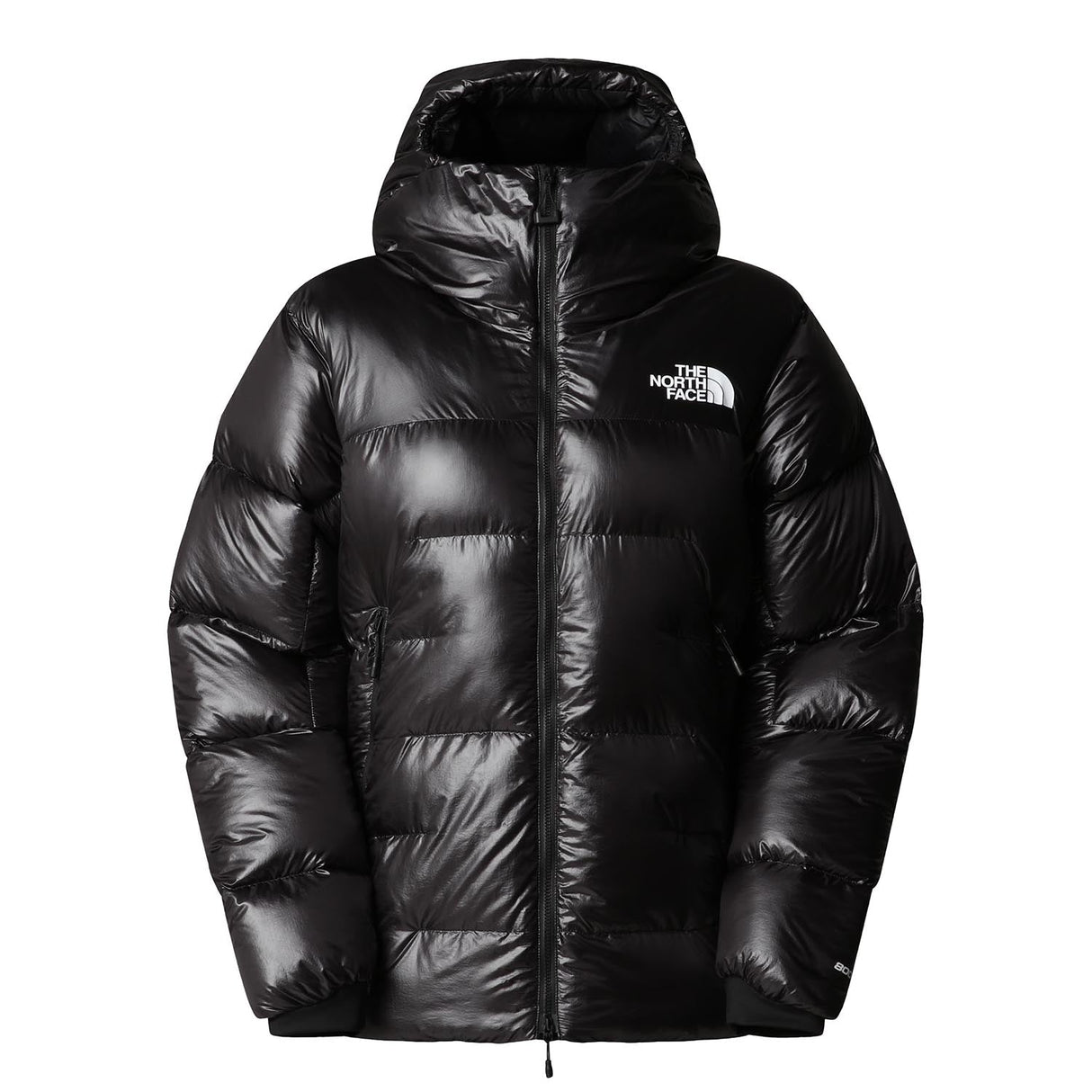 Geaca Femei The North Face W Summit Pumori Down Parka Geaca Femei The North Face W Summit Pumori Down Parka