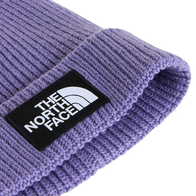 Caciula Copii The North Face Kids Tnf Logo Box Cuffed Caciula Copii The North Face Kids Tnf Logo Box Cuffed