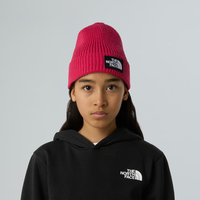 Caciula Copii The North Face Kids Tnf Logo Box Cuffed Caciula Copii The North Face Kids Tnf Logo Box Cuffed