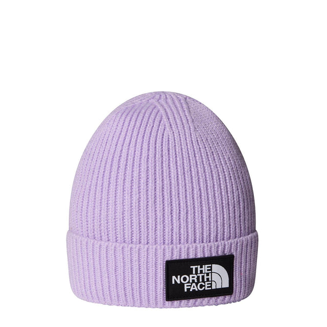 Caciula Copii The North Face Kids Tnf Logo Box Cuffed Caciula Copii The North Face Kids Tnf Logo Box Cuffed