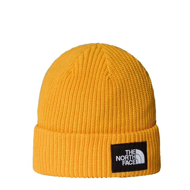 Caciula Unisex The North Face Salty Lined Caciula Unisex The North Face Salty Lined