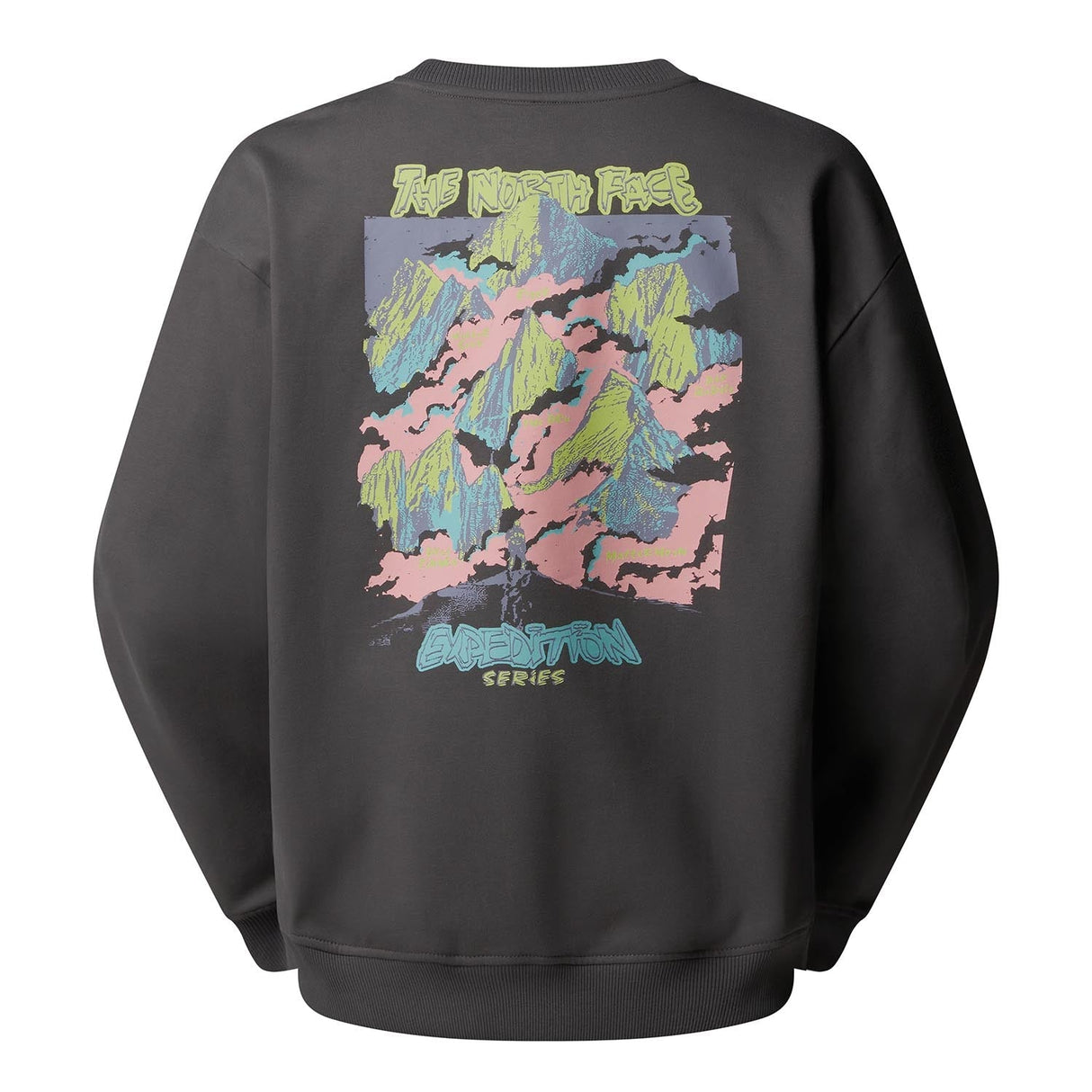 Bluza Unisex The North Face U Expedition Celebration Oversized Crew Bluza Unisex The North Face U Expedition Celebration Oversized Crew