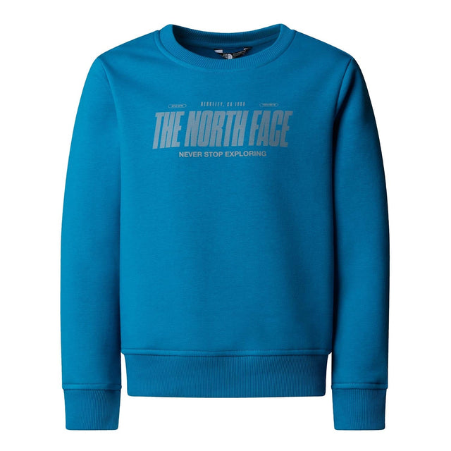 Bluza Baieti The North Face B Reflective Logo Relaxed Crew Bluza Baieti The North Face B Reflective Logo Relaxed Crew