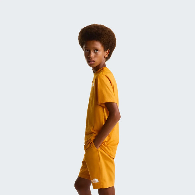 Tricou Copii The North Face Teen Pentadome Embossed 24/7 Tricou Copii The North Face Teen Pentadome Embossed 24/7