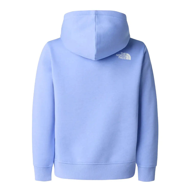 Hanorac Copii The North Face G Brand Proud Relaxed Graphic Hanorac Copii The North Face G Brand Proud Relaxed Graphic