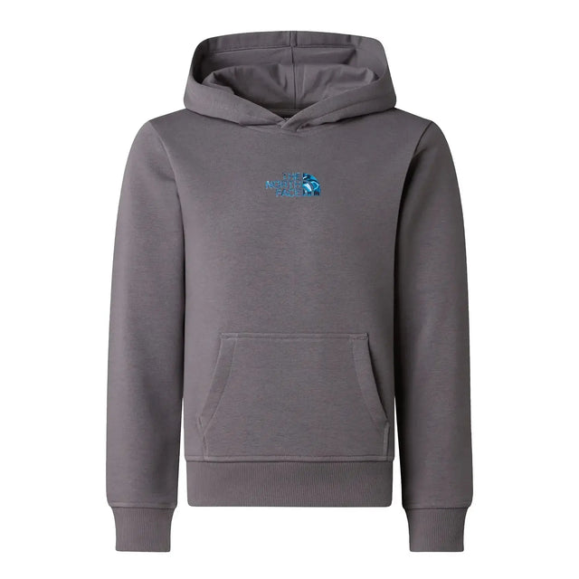 Hanorac Copii The North Face B Liquid Logo Regular Graphic Hanorac Copii The North Face B Liquid Logo Regular Graphic