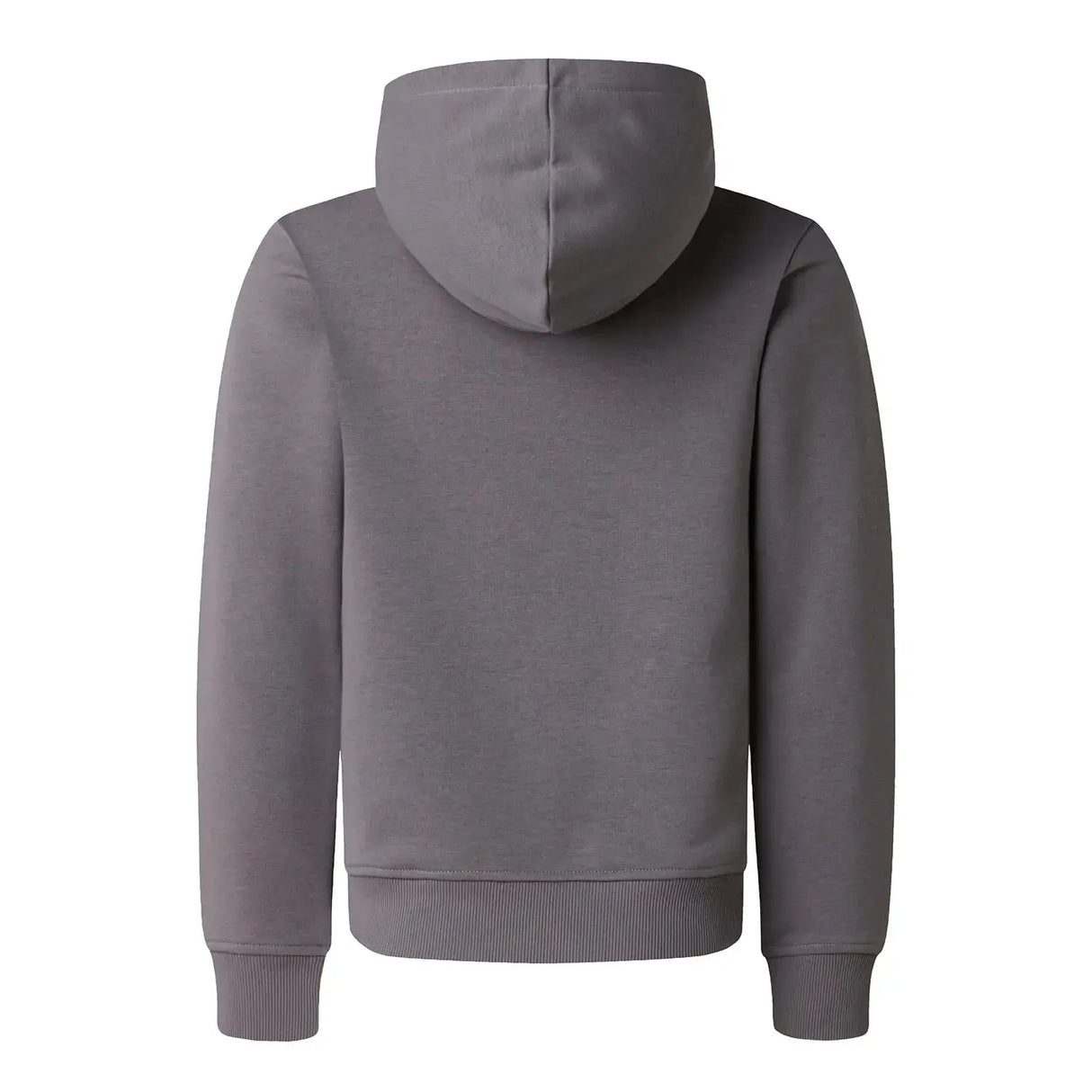 Hanorac Copii The North Face B Liquid Logo Regular Graphic Hanorac Copii The North Face B Liquid Logo Regular Graphic