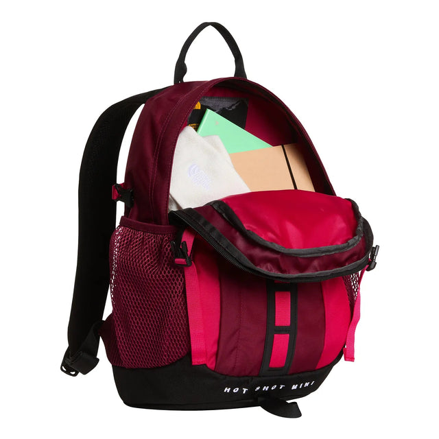 Rucsac Unisex The North Face Hot Shot Mini Rucsac Unisex The North Face Hot Shot Mini
