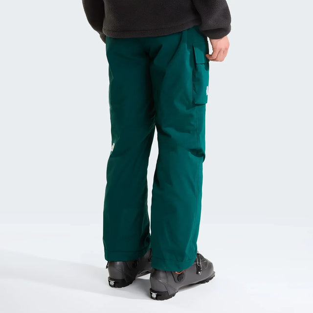 Pantaloni Schi Barbati The North Face M Freedom Insulated Pantaloni Schi Barbati The North Face M Freedom Insulated