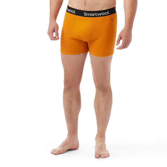 Boxeri Barbati Smartwool M Active Boxer Brief Boxed Boxeri Barbati Smartwool M Active Boxer Brief Boxed