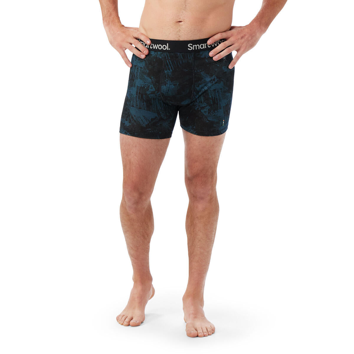 Boxer Smartwool M Merino Print Brief Boxed   Boxer Smartwool M Merino Print Brief Boxed