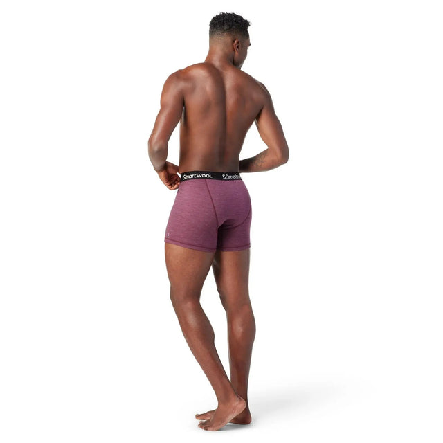 Boxer Smartwool M Merino Sport 150 Brief Boxed Boxer Smartwool M Merino Sport 150 Brief Boxed