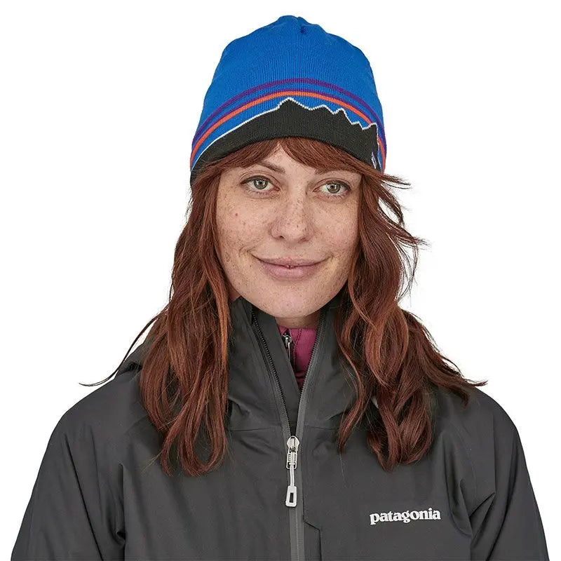 Caciula Patagonia Beanie   Caciula Patagonia Beanie