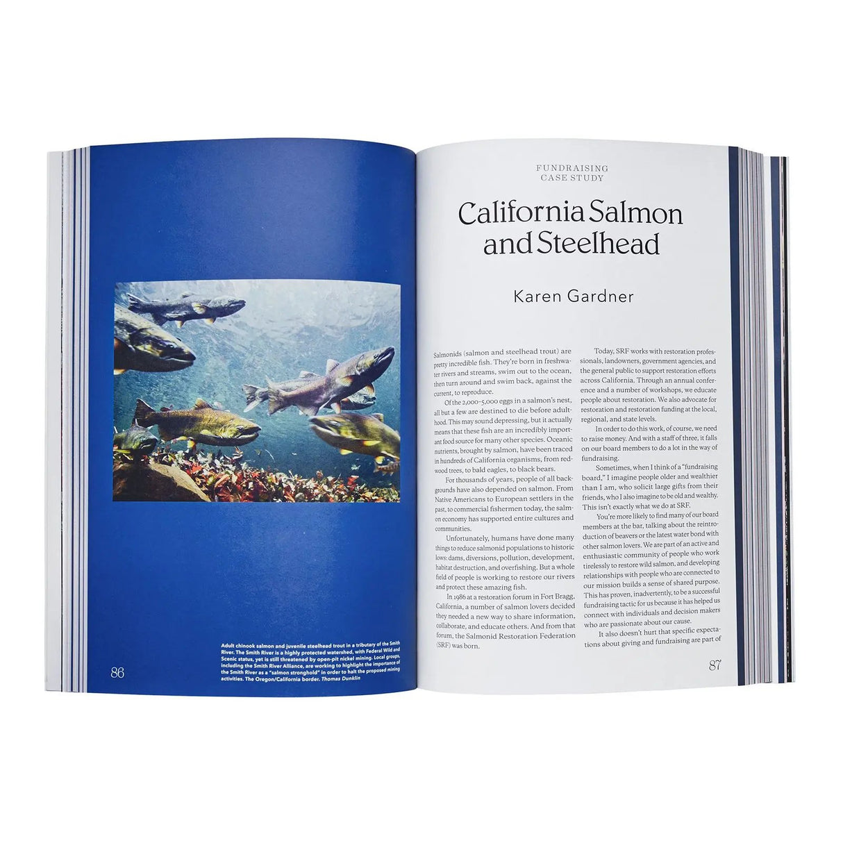 Carte Tools For Grassroots Activists Paperback Carte Tools For Grassroots Activists Paperback