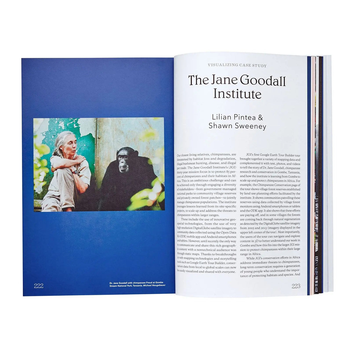 Carte Tools For Grassroots Activists Paperback Carte Tools For Grassroots Activists Paperback