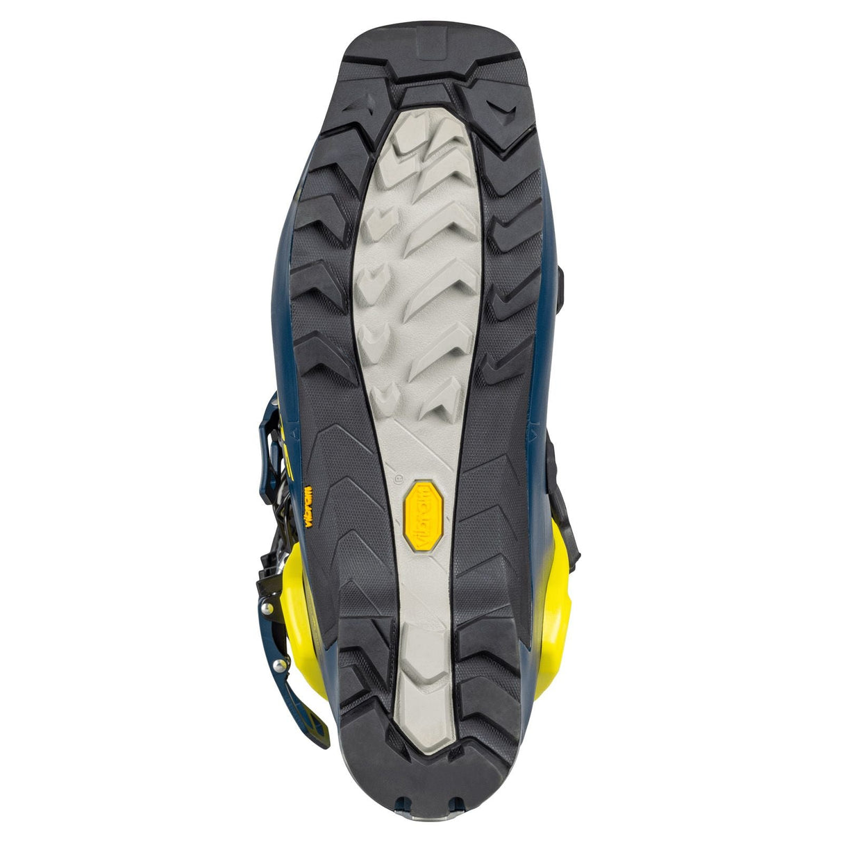 Clapari Tura Barbati Scott Cosmos   Clapari Tura Barbati Scott Cosmos