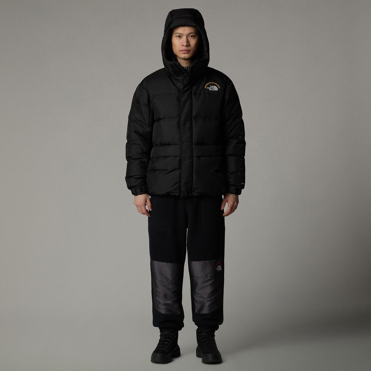Geaca Barbati The North Face M Hmlyn 30 Anniversary Parka Geaca Barbati The North Face M Hmlyn 30 Anniversary Parka