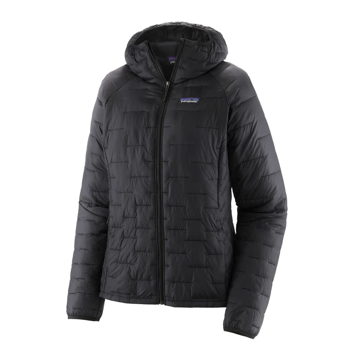Geaca Femei Patagonia W Micro Puff Hoody   Geaca Femei Patagonia W Micro Puff Hoody