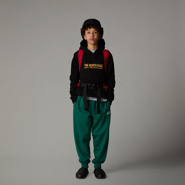 Hanorac Adolescenti The North Face Varsity Graphic Relaxed Hanorac Adolescenti The North Face Varsity Graphic Relaxed