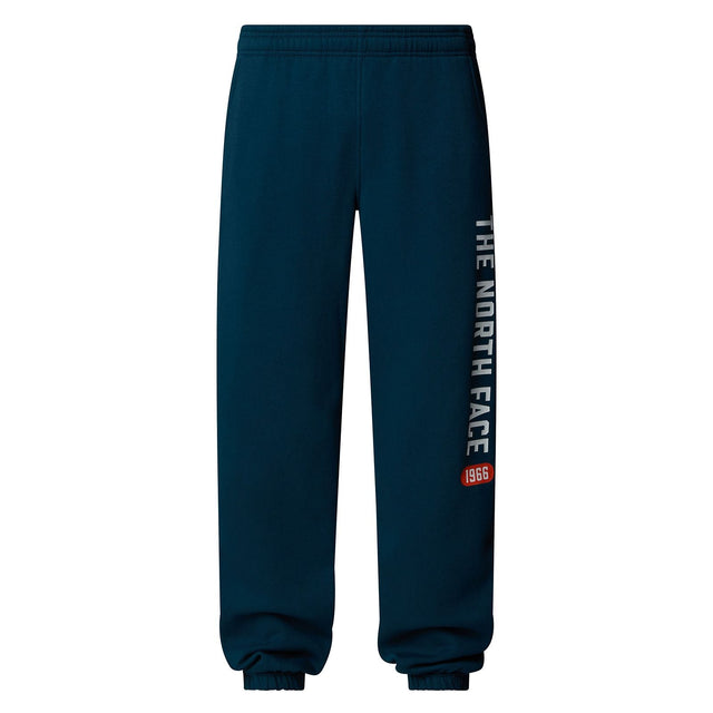 Pantaloni Barbati The North Face M Varsity Graphic Pantaloni Barbati The North Face M Varsity Graphic