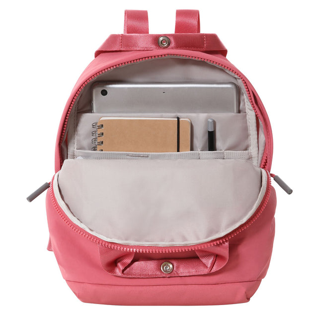 Rucsac The North Face W Never Stop Mini Rucsac The North Face W Never Stop Mini