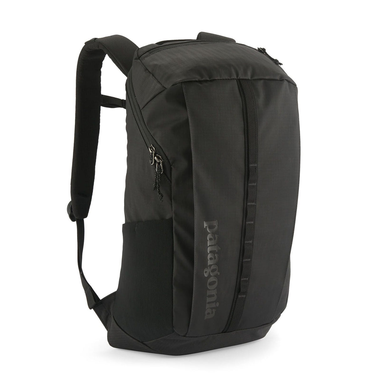 Rucsac Unisex Patagonia Black Hole 25 L   Rucsac Unisex Patagonia Black Hole 25 L