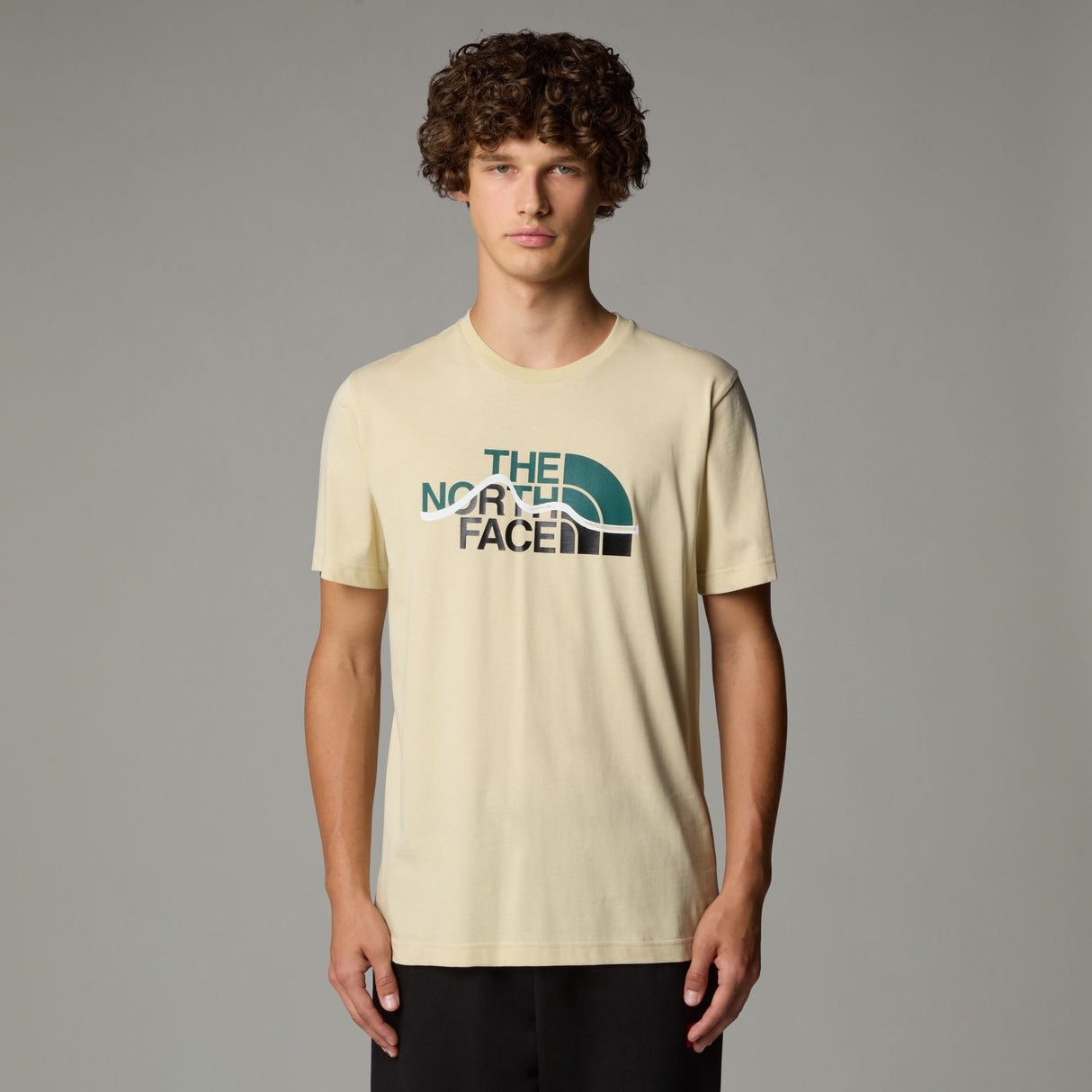 Tricou Barbati The North Face M Mountain Line Tricou Barbati The North Face M Mountain Line