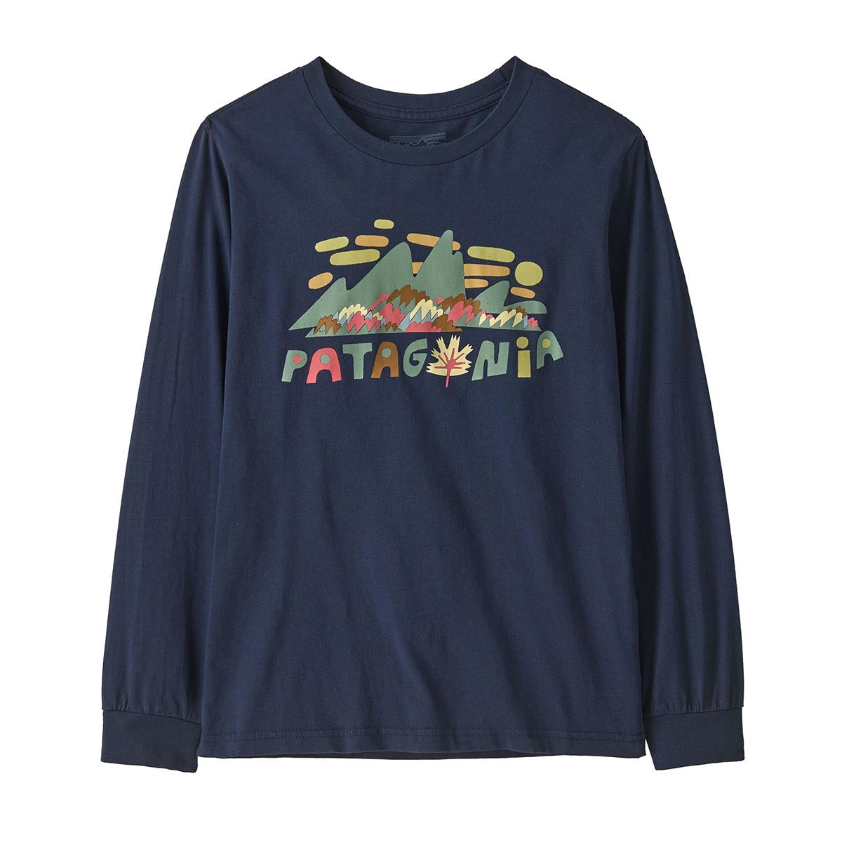 Bluza Copii Patagonia K Graphic   Bluza Copii Patagonia K Graphic
