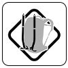 ice-axe pole-fixation