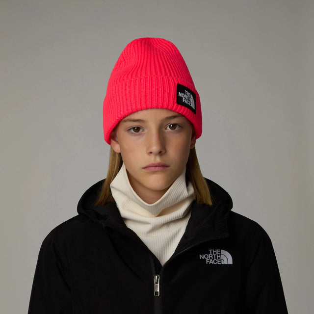 Caciula Copii The North Face K Box Logo Cuffed   Caciula Copii The North Face K Box Logo Cuffed