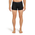 Boxeri Barbati Icebreaker M Merino 175 Everyday wFly   Boxeri Barbati Icebreaker M Merino 175 Everyday wFly