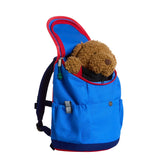 Rucsac Copii The North Face Y Mini Explorer   Rucsac Copii The North Face Y Mini Explorer