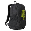 Rucsac Copii The North Face Y Court Jester   Rucsac Copii The North Face Y Court Jester