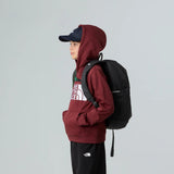 Rucsac Copii The North Face Y Court Jester   Rucsac Copii The North Face Y Court Jester