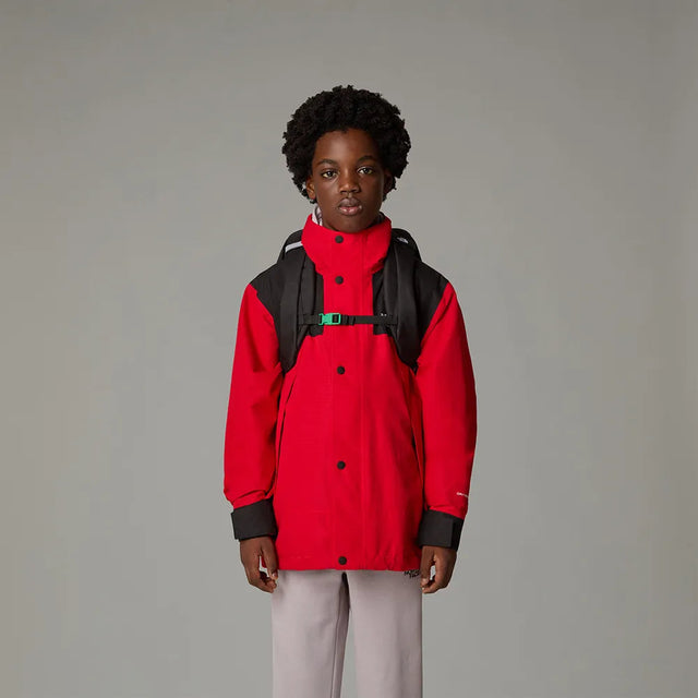 Rucsac Copii The North Face Y Court Jester   Rucsac Copii The North Face Y Court Jester