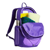 Rucsac Copii The North Face Y Court Jester   Rucsac Copii The North Face Y Court Jester