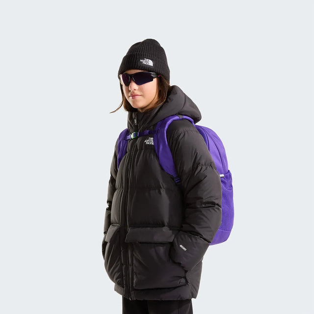 Rucsac Copii The North Face Y Court Jester   Rucsac Copii The North Face Y Court Jester