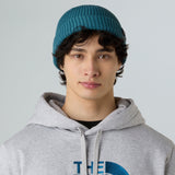 Caciula The North Face Fisherman